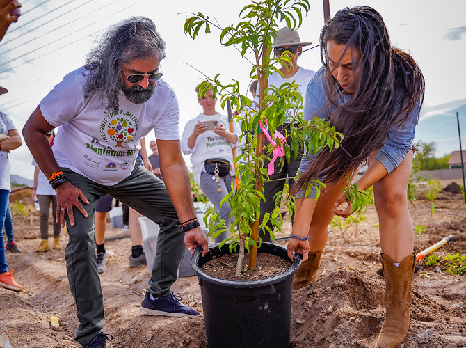 Global tree planting